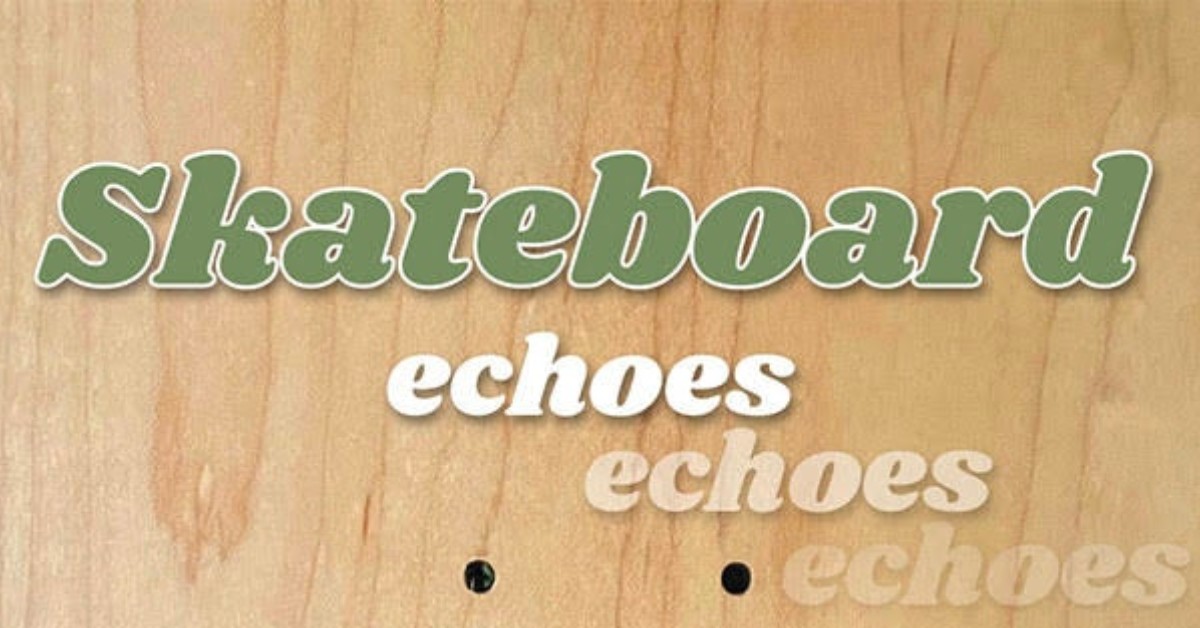 Skateboard Echoes Book